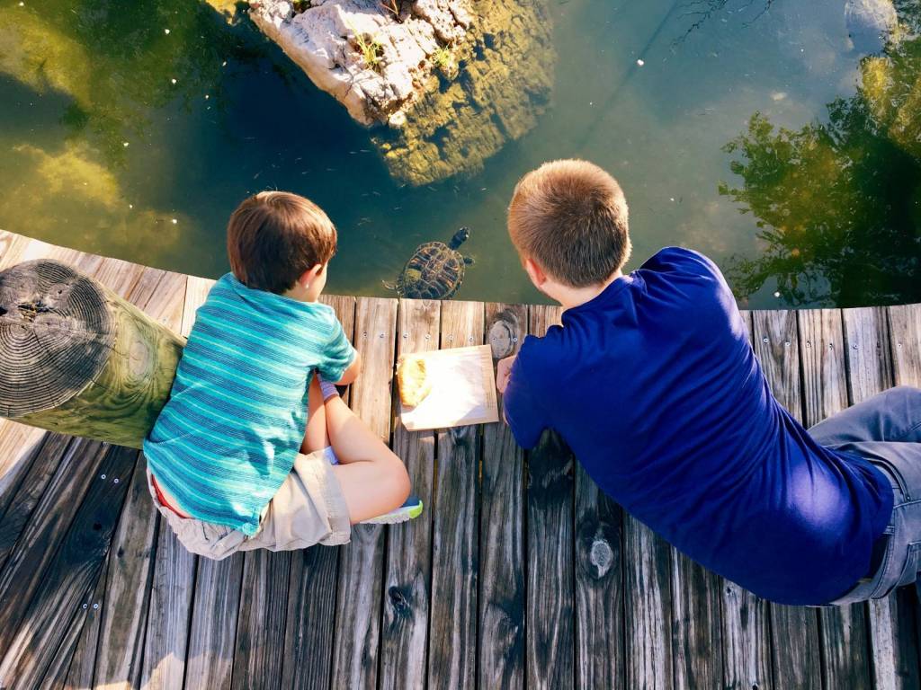 2 Kids watching over the pond