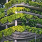 Anxiety therapist Singapore, life balance metaphor, Singapore Botanic Gardens, therapy journey, growth