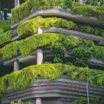 Anxiety therapist Singapore, life balance metaphor, Singapore Botanic Gardens, therapy journey, growth