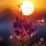 Anxiety therapy Singapore, butterflies to bees metaphor, anxiety feelings, Singapore therapeutic support