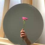 A hand holding a pink rose, symbolizing care, vulnerability, and emotional openness within supportive relationships.