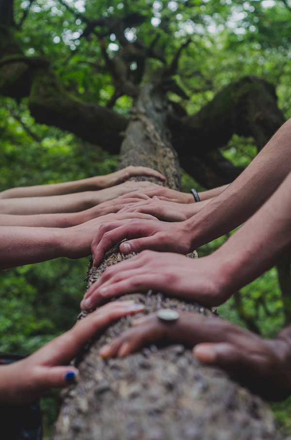 Hands of Different People Holding a Tree
