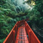 A quiet forest and wooden bridge inviting reflection, symbolizing the journey inward toward meaning and personal growth