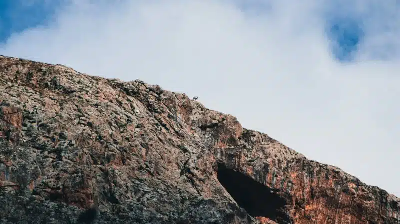 Mountain peak with animal standing tall, representing freedom and search for meaning in existential therapy.