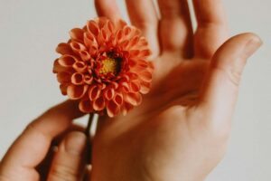  A hand gently holding a rose, symbolizing tenderness, trust, and the courage to be emotionally open with others.